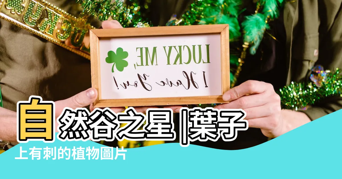 【葉子有刺】自然谷之星 |葉子上有刺的植物圖片 |認識有刺植物 |