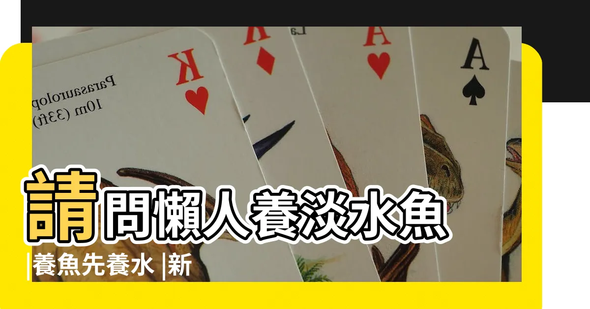 【養淡水魚】請問懶人養淡水魚 |養魚先養水 |新手養魚點揀好 |