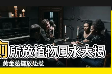 【廁所種植物風水】廁所放植物風水大揭秘！黃金葛擺放恐惹禍端