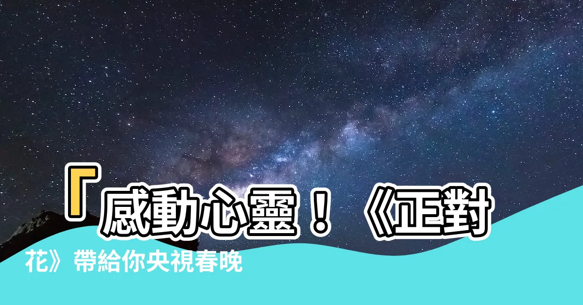 【正對花】「感動心靈！《正對花》帶給你央視春晚的最美瞬間」