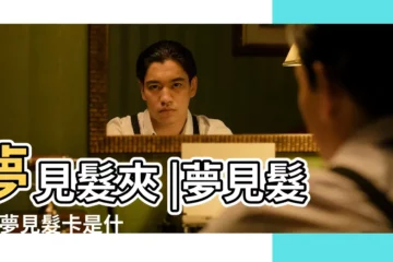 【周公解夢夢見漂亮的髮卡】夢見髮夾 |夢見髮夾 |夢見髮卡是什麼意思 |