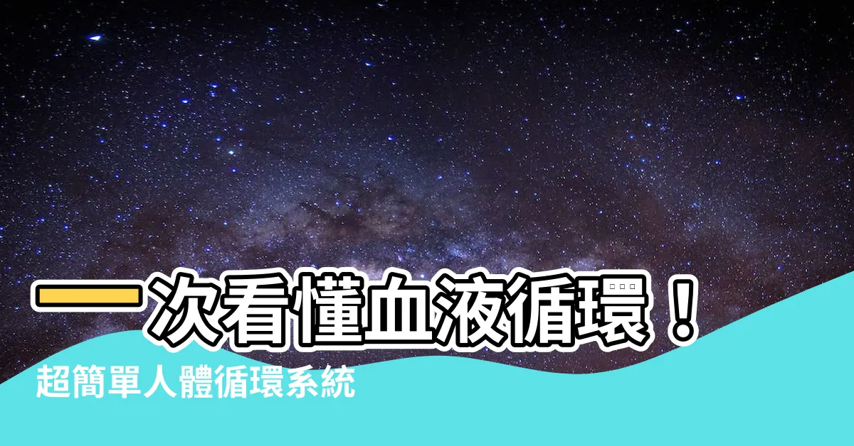 【血液循環簡圖】一次看懂血液循環！超簡單人體循環系統圖解，讓國中生秒懂