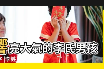 【李氏男孩起名】響亮大氣的李氏男孩名字 |李姓男孩起名大全 |博學多才的李氏男寶寶名字 |
