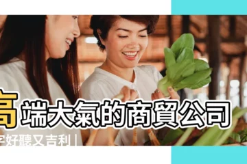 【商貿公司名字大氣吉利】高端大氣的商貿公司名字好聽又吉利 |吉利招財商貿公司名簡潔大氣的商貿公司取名 |簡單大氣的商貿公司名字吉利旺財的公司名字 |