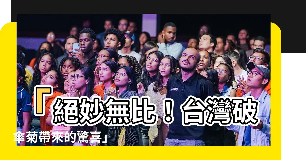 【破傘】「絕妙無比！台灣破傘菊帶來的驚喜」