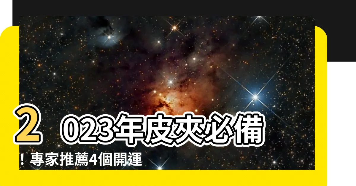 【2023皮夾顏色】2023年皮夾必備！專家推薦4個開運色款式帶來好財運