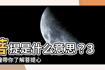 【菩提是什麼意思】菩提是什麼意思？3分鐘帶你瞭解菩提心的真諦！