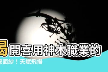 【喜用神木職業】揭開喜用神木職業的神秘面紗！天賦飛揚，築夢千里