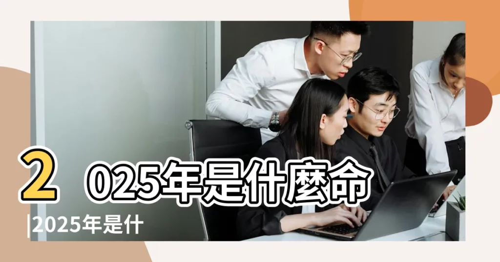 2025年是什麼命 2025年是什麼天干地支 2025年是什麼生肖年 【2025天干地支】 MirrorT 風水網