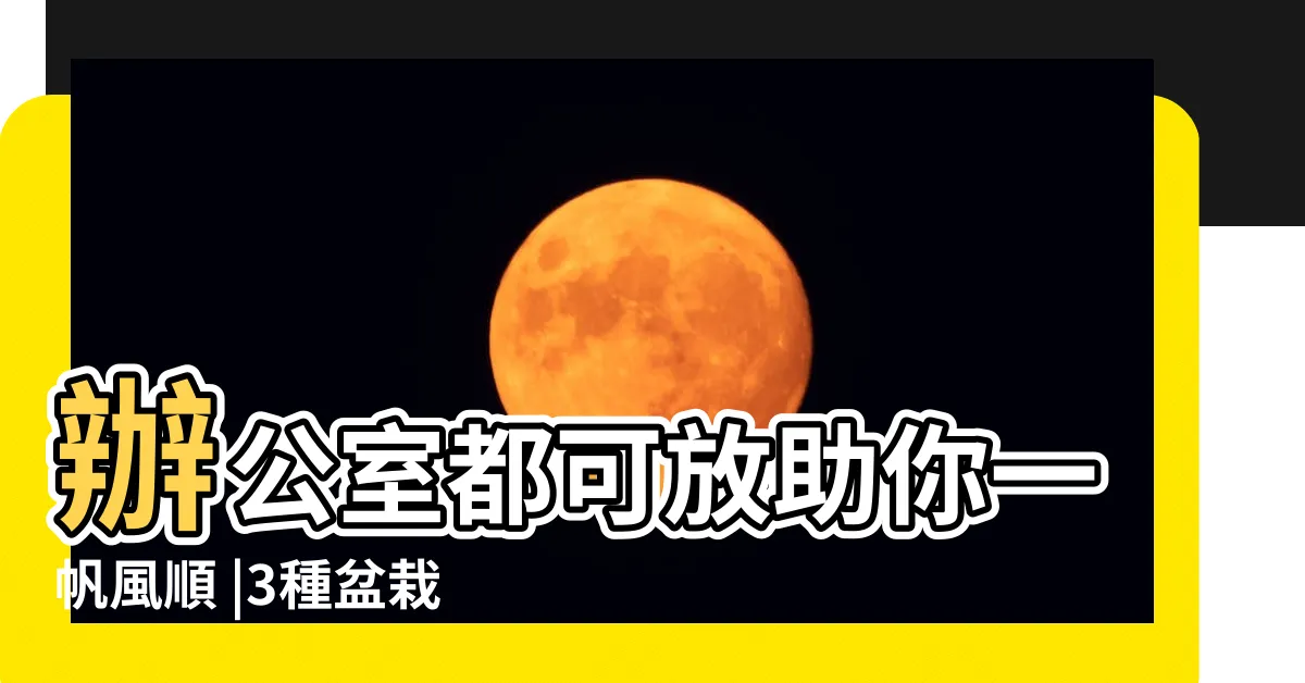 【黃金百合竹風水】辦公室都可放助你一帆風順 |3種盆栽能開運 |家居風水看百合竹在家中擺放究竟好不好 |