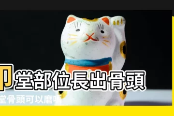 【印堂部位長出骨頭】印堂部位長出骨頭 |印堂骨頭可以磨嗎 |什麼面相 |