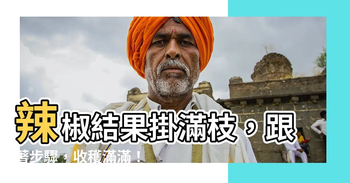 【如何讓辣椒開花結果】辣椒結果掛滿枝，跟著步驟，收穫滿滿！