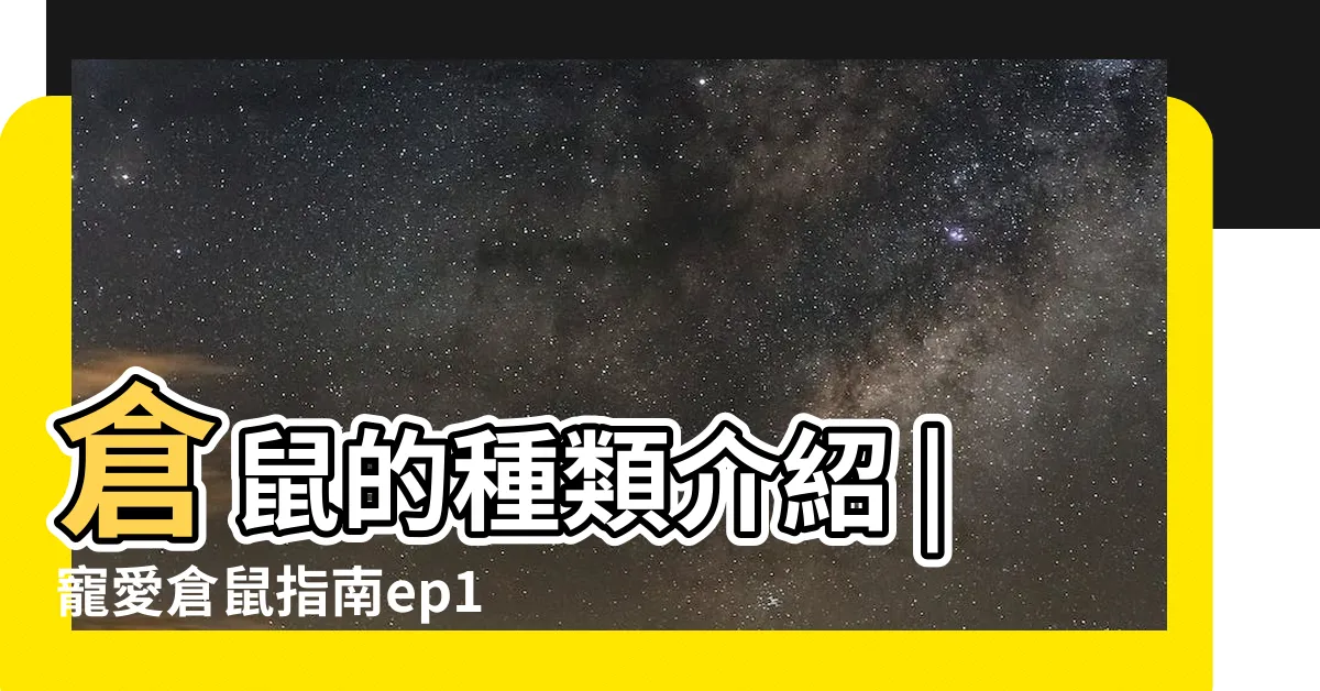 【倉鼠種類介紹】倉鼠的種類介紹 |寵愛倉鼠指南ep1 |中華民國愛鼠協會 |