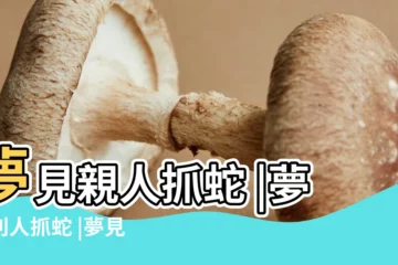 【夢見親戚抓了一條蛇】夢見親人抓蛇 |夢見別人抓蛇 |夢見別人抓到一條蛇 |