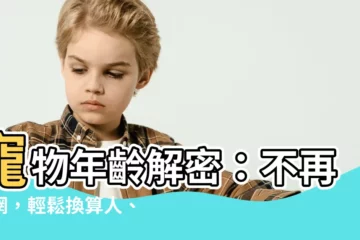 【寵物年齡查詢】寵物年齡解密：不再迷惘，輕鬆換算人、狗、貓年齡