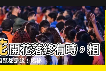 【花開花落終有時相逢相聚本無意出處】花開花落終有時，相逢相聚都是緣！揭秘《紅樓夢》經典詩句出處
