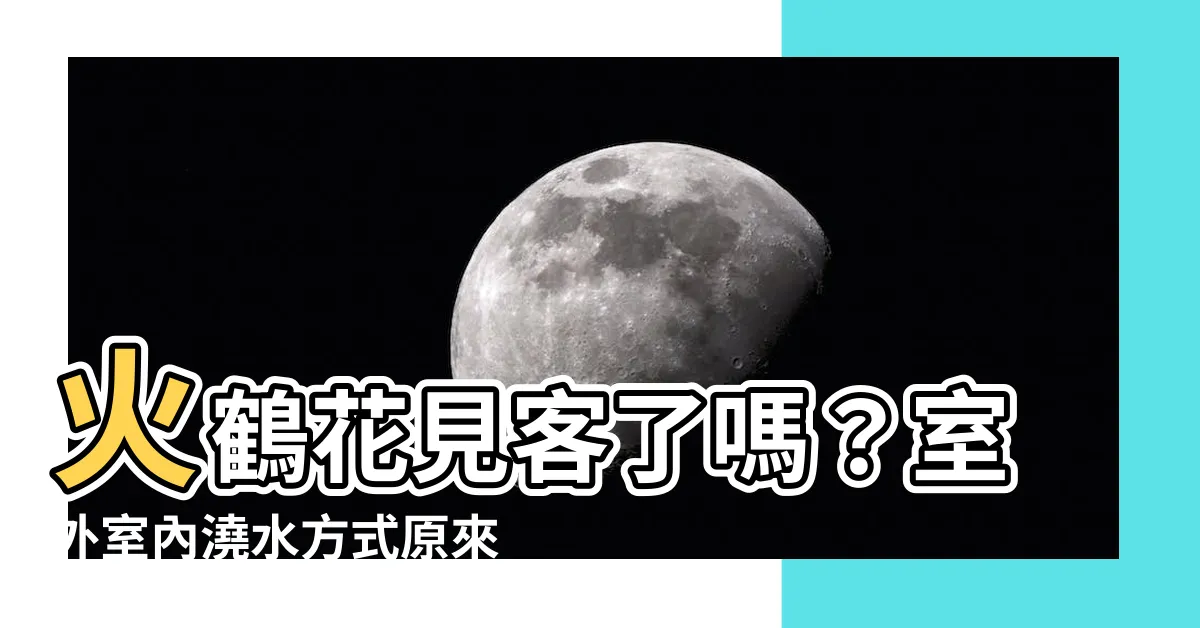 【火鶴可以種在室內嗎】火鶴花見客了嗎？室外室內澆水方式原來不同！快筆記！