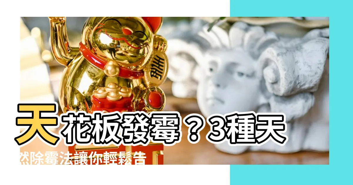 【天花板 發黴】天花板發黴？3種天然除黴法讓你輕鬆告別困擾