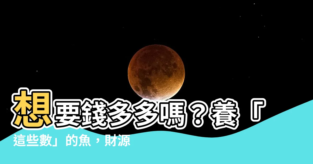 【養幾隻魚比較好】想要錢多多嗎？養「這些數」的魚，財源滾滾來！