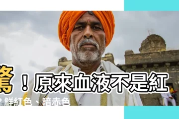 【鮮紅色 暗赤色】驚！原來血液不是紅色？鮮紅色、暗赤色大解密