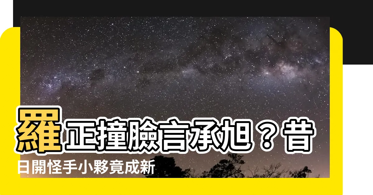 【羅正言承旭】羅正撞臉言承旭？昔日開怪手小夥竟成新一代男神