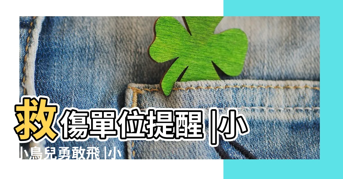 【鳥學飛】救傷單位提醒 |小小鳥兒勇敢飛 |小鳥學飛的啟發 |