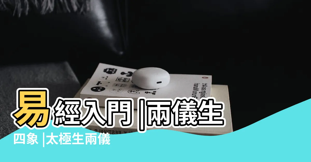 【一元生兩儀】易經入門 |兩儀生四象 |太極生兩儀 |