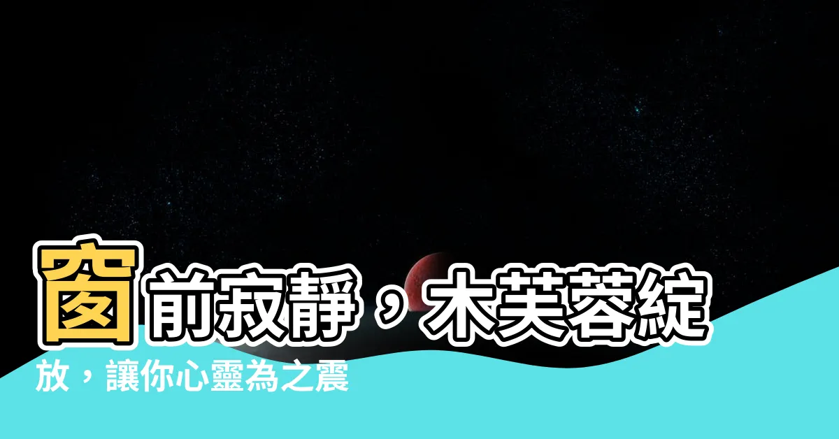 【窗前】窗前寂靜，木芙蓉綻放，讓你心靈為之震撼