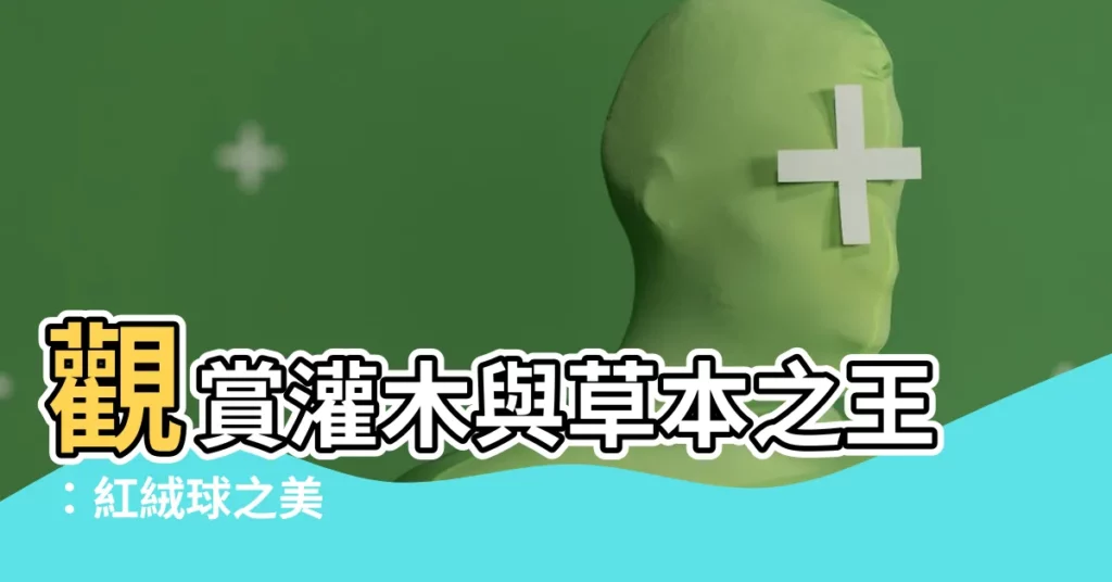【紅絨球】觀賞灌木與草本之王：紅絨球之美