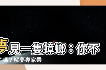 【夢見一隻蟑螂】夢見一隻蟑螂：你不安了嗎？解夢專家帶你解惑！