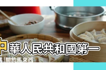 【1991年四月初四配偶】中華人民共和國第一配偶 |關於馬來西亞的遺囑 |斯皮爾斯 |
