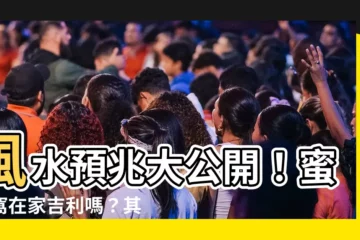 【蜜蜂窩風水】風水預兆大公開！蜜蜂窩在家吉利嗎？其他動物進宅也報喜