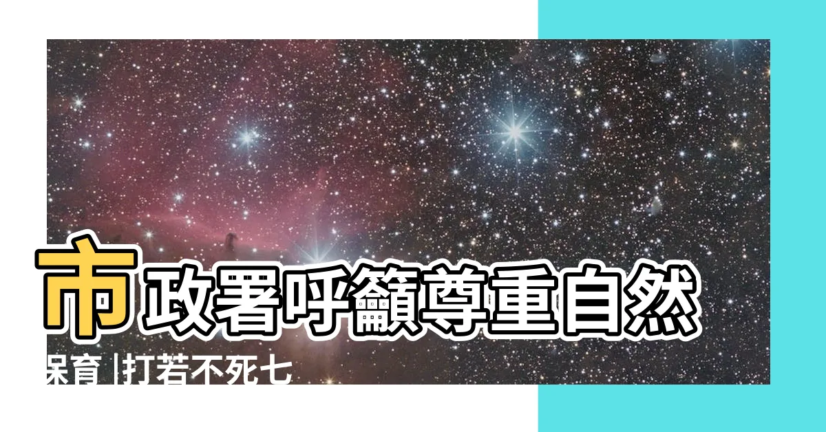 【遇見蛇不要打】市政署呼籲尊重自然保育 |打若不死七分罪 |為什麼要打 |