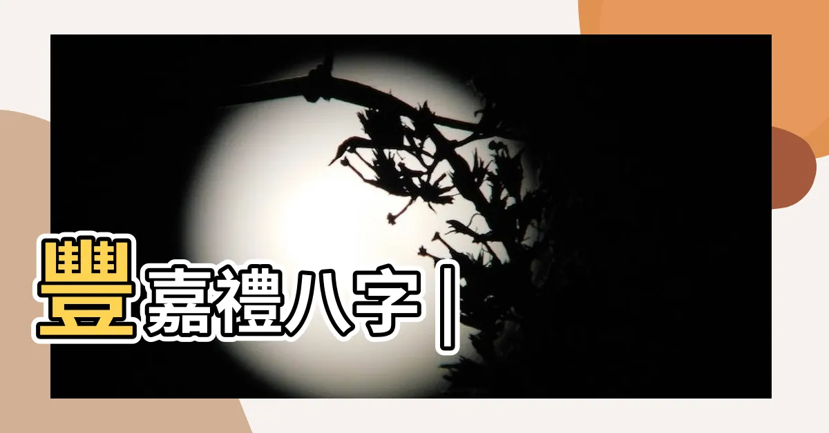 【豐嘉禮八字】豐嘉禮八字 |