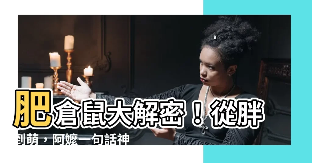 【肥倉鼠】肥倉鼠大解密!從胖到萌,阿嬤一句話神預測