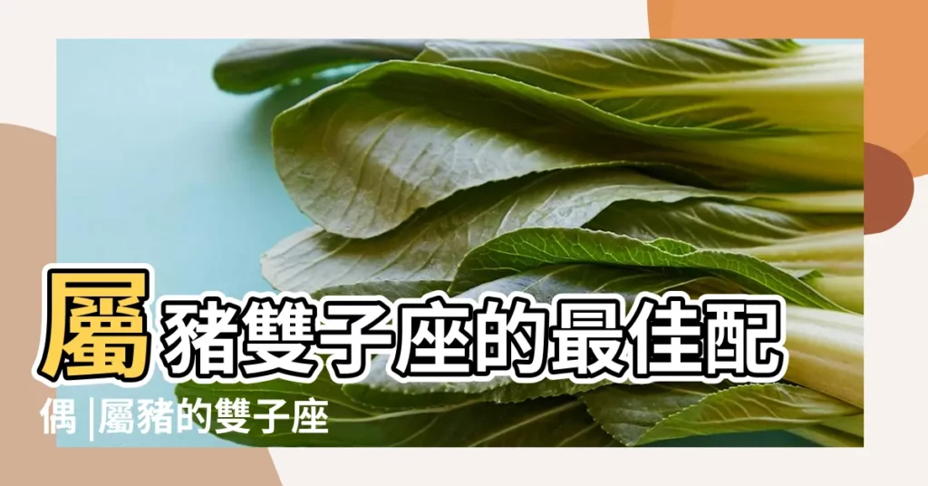 屬豬雙子座的最佳配偶 |屬豬的雙子座男生的性格 |屬豬雙子座男生的性格特點 |【屬豬雙子座男人大方嗎】