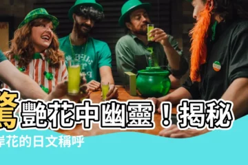 【彼岸花日文】驚艷花中幽靈！揭秘彼岸花的日文稱呼