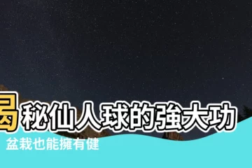【仙人球功效】揭秘仙人球的強大功效！盆栽也能擁有健康好處