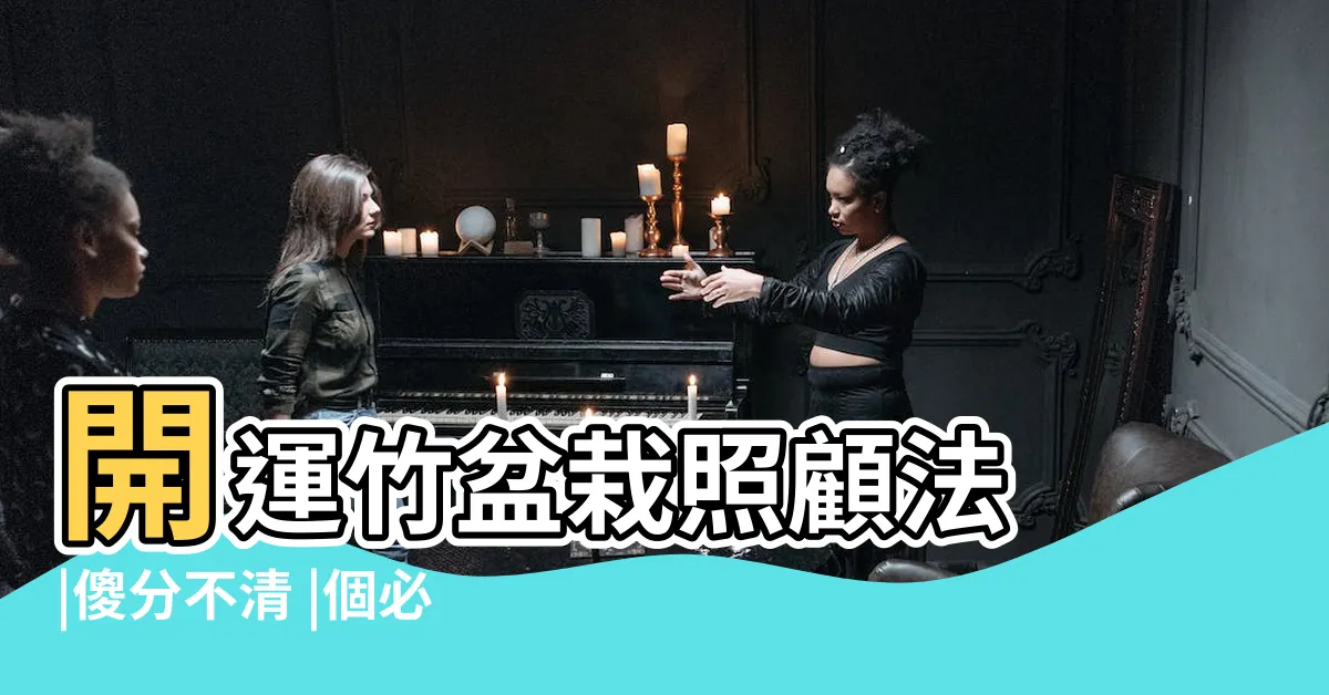 【富貴竹開運竹】開運竹盆栽照顧法 |傻分不清 |個必知禁忌 |