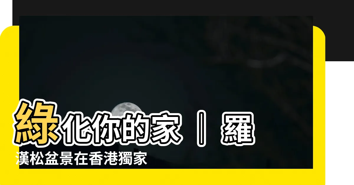 【羅漢松 香港】綠化你的家 ｜ 羅漢松盆景在香港獨家優惠