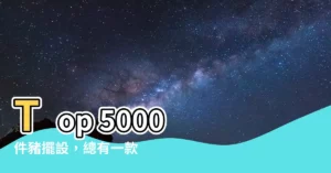 【豬擺設】Top 5000 件豬擺設，總有一款讓你心動！