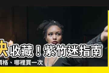 【紫竹哪裡買】快收藏！紫竹迷指南，價格、哪裡買一次搞定！