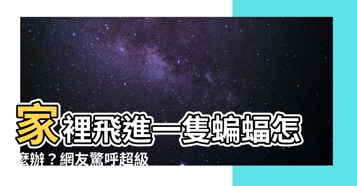 【家裡蝙蝠】家裡飛進一隻蝙蝠怎麼辦？網友驚呼超級吉兆！