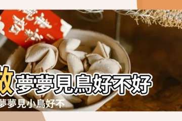 【夢見和鳥在一起玩】做夢夢見鳥好不好 |做夢夢見小鳥好不好 |夢見鳥與自己玩是什麼意思 |
