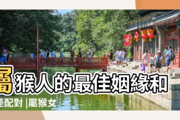 【女性屬猴得最佳婚配】屬猴人的最佳姻緣和最差配對 |屬猴女生最佳的婚配屬相是什麼 |找對了幸福一生 |