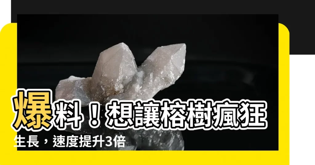 【榕樹生長速度】爆料!想讓榕樹瘋狂生長,速度提升3倍!