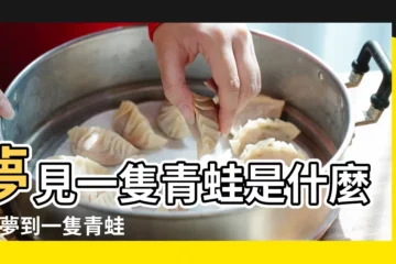 【夢境一隻青蛙】夢見一隻青蛙是什麼意 |夢到一隻青蛙是什麼意思 |夢見一隻青蛙是好的徵兆嗎 |