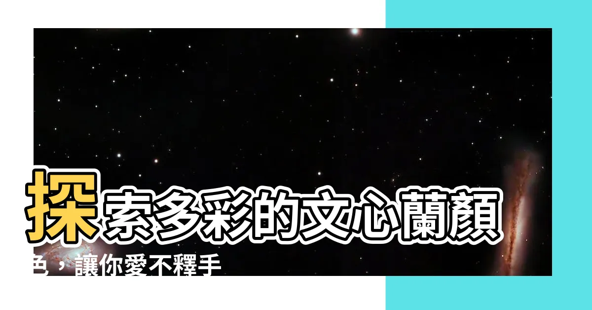 【文心蘭顏色】探索多彩的文心蘭顏色，讓你愛不釋手