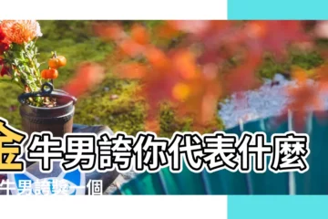 【金牛男跟朋友誇獎我】金牛男誇你代表什麼 |金牛男誇獎一個女孩子 |搜索結果 |