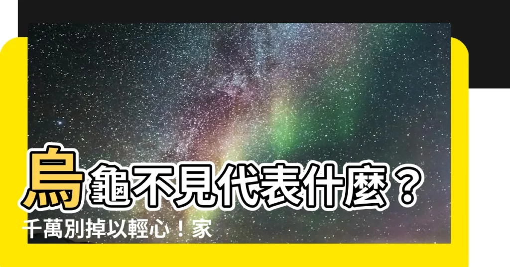 【烏龜不見代表什麼】烏龜不見代表什麼？千萬別掉以輕心！家裡烏龜不見後最真實的徵兆